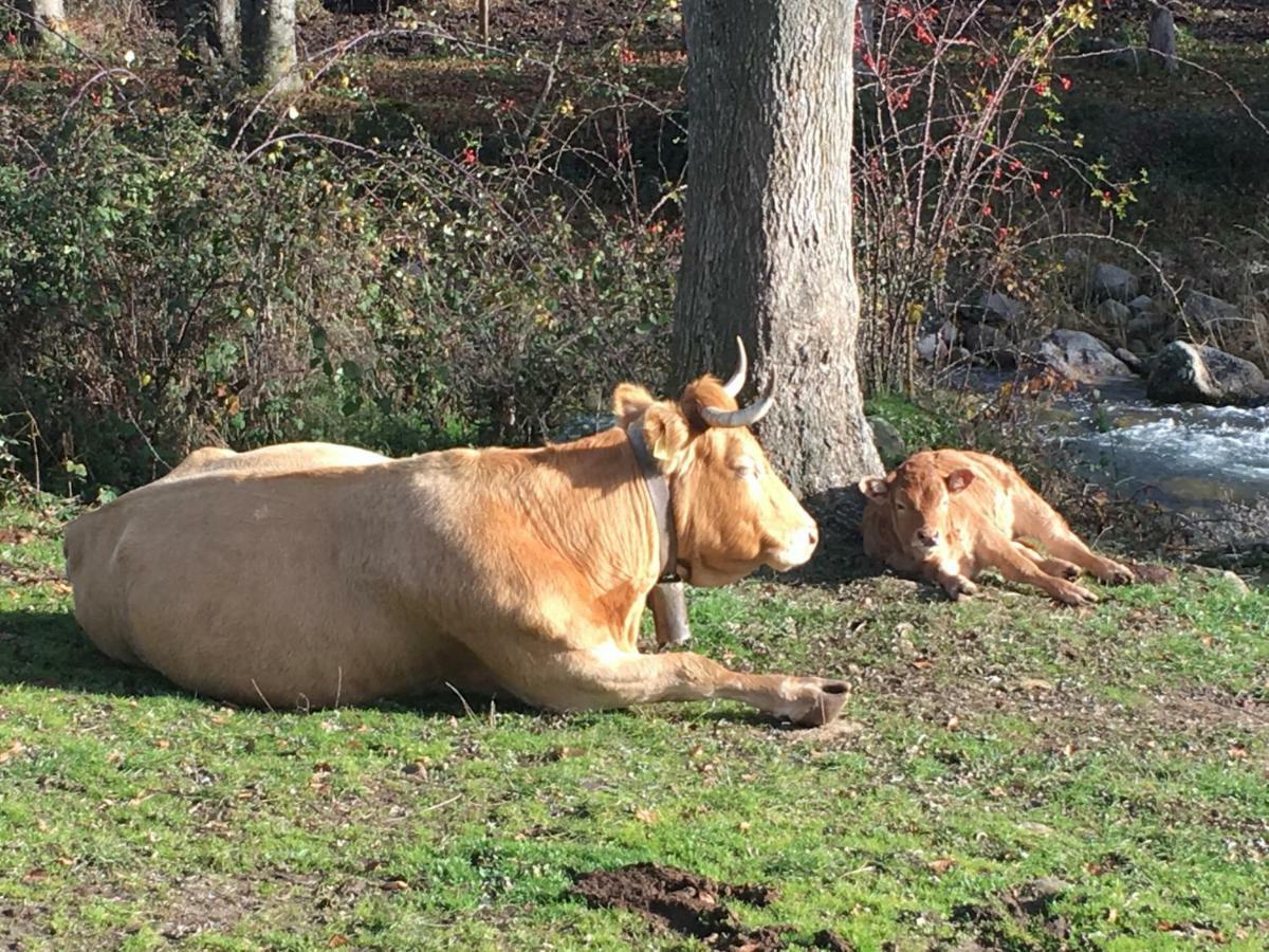 Casa Rural Senderismo Lumbreras Zewnętrze zdjęcie