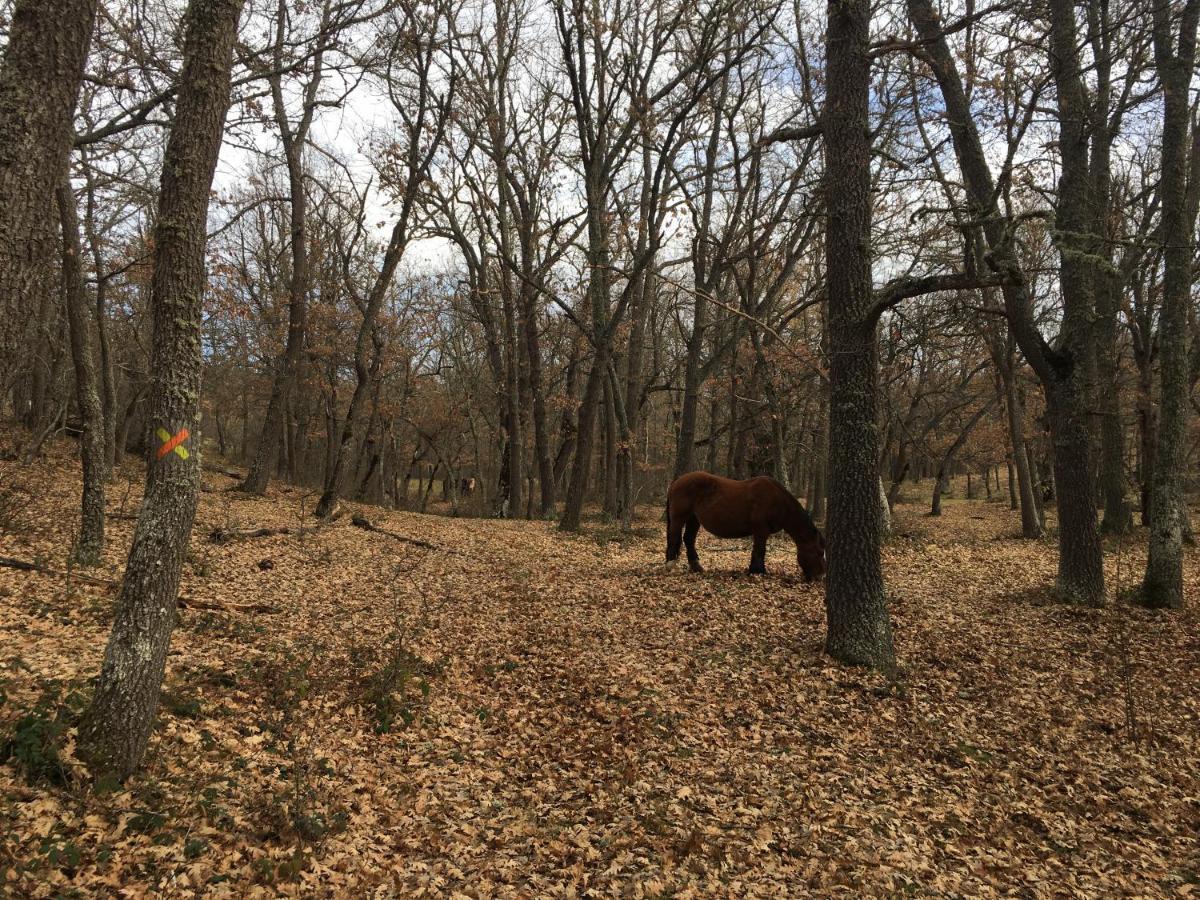 Casa Rural Senderismo Lumbreras Zewnętrze zdjęcie