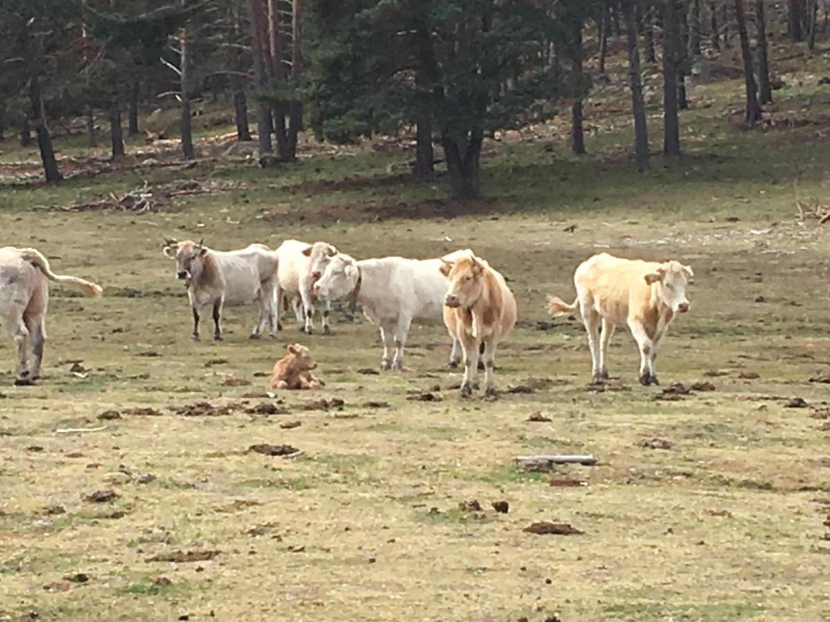 Casa Rural Senderismo Lumbreras Zewnętrze zdjęcie